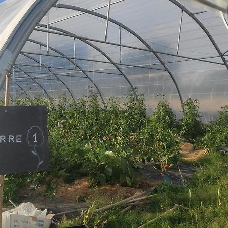 Eco-Gite A La Ferme D'Elles Saint-Andre-de-l'Epine エクステリア 写真